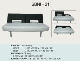 SBNI-21