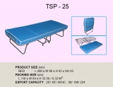 TSP-25