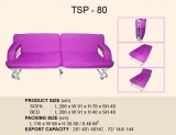 TSP-80 